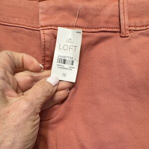 Loft shorts